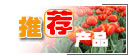 �Ƽ�Ʒ��չʾ