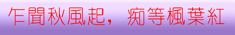点击可欣赏华石美国红枫基地的红叶实景照片