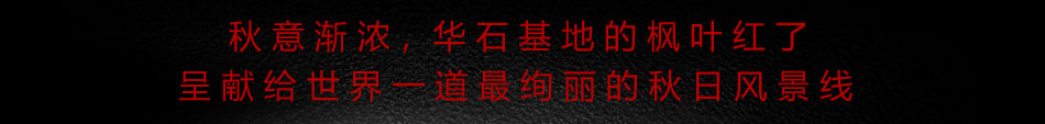 华彩红叶